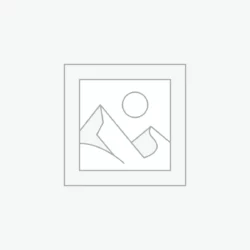 Nơi nhập dữ liệu